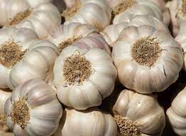 Bawang Putih Memiliki 4 Manfaat Utama Untuk Kesehatan